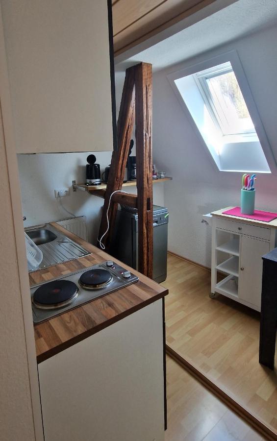 Ferienwohnung Am Berggipfel Wieda Exteriör bild